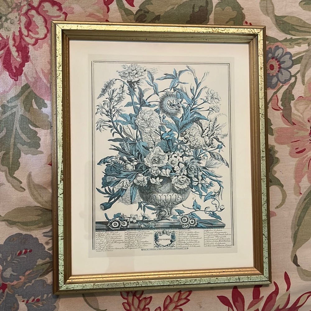 Vtg SEPTEMBER from Twelve Months of Flowers by Robert Furber (C.1674-1756)CANADA